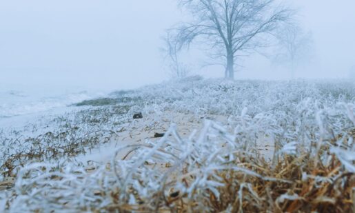 Dallas Jury awards $44.1M To Family Of Victim Killed In 2021 I-35 Ice Storm Pileup