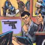 Luigi Mangione Hearing: When The Camera Stopped Rolling, The Plot Thickened