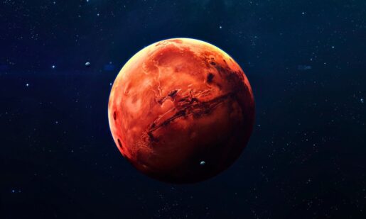 Musk Pushes For Mars While Japan Pushes More Adult Diapers Than Baby Diapers
