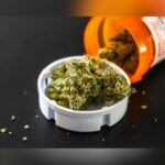 Trump Signs Executive Order Expediting Marijuana Rescheduling To Schedule III
