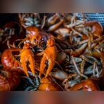 Shellfish Thieves Claw $400K Lobster Haul In Impersonation Heist