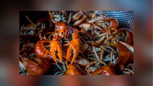 Shellfish Thieves Claw $400K Lobster Haul In Impersonation Heist
