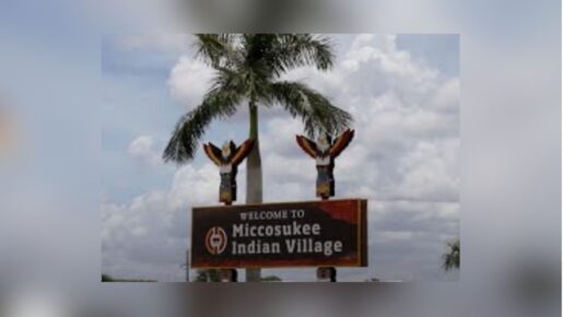 Trump Vetoes Bill Protecting Miccosukee Tribe From Flooding