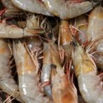 Frozen Shrimp Recall: Cesium-137 Radioactive Contamination Warning