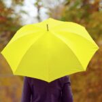 Stories Of Rain: The Fields God Waters, The Fruit We Share