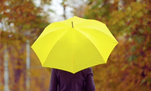 Stories Of Rain: The Fields God Waters, The Fruit We Share