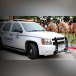 Mansfield Shooting: One Dead, One Injured In Possible Accident