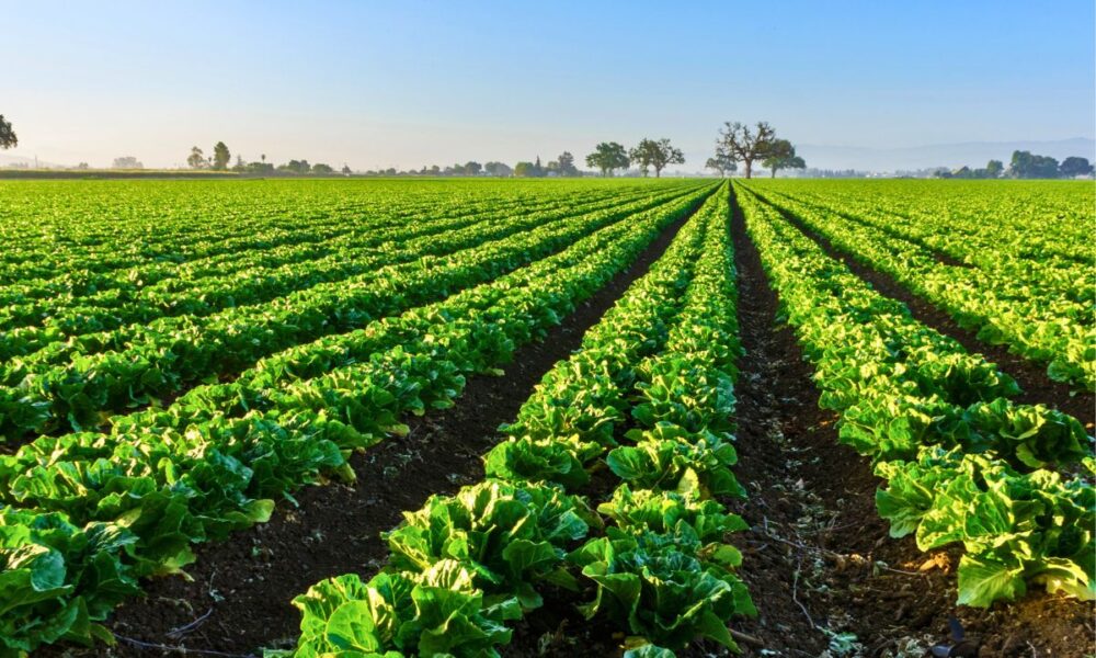 USDA Launches $700M Regenerative Farming Initiative