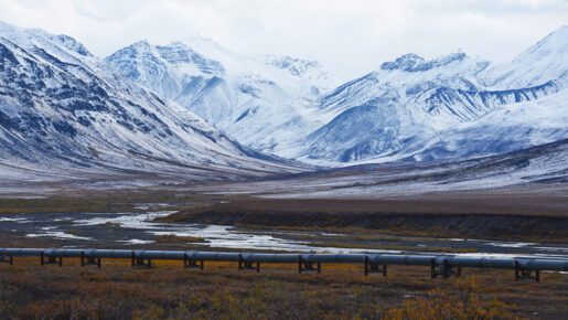 Trump Signs Bill Opening Alaska National Petroleum Reserve To Drilling