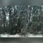 Thousands Still Without Power In Texas As Oncor Battles Lingering Winter Storm Effects