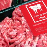 Federal Judge Lets Lawsuit Against Texas Cultured Meat Ban Move Forward