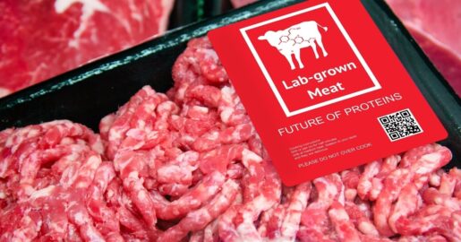 Federal Judge Lets Lawsuit Against Texas Cultured Meat Ban Move Forward