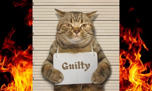 VIDEO: Cat Starts Garland House Fire Amid ‘Purr-fect Storm’