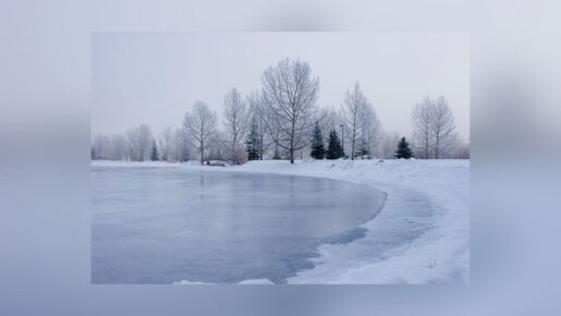 Three People Rescued From Icy Ponds On Sunday In Two Separate Incidents