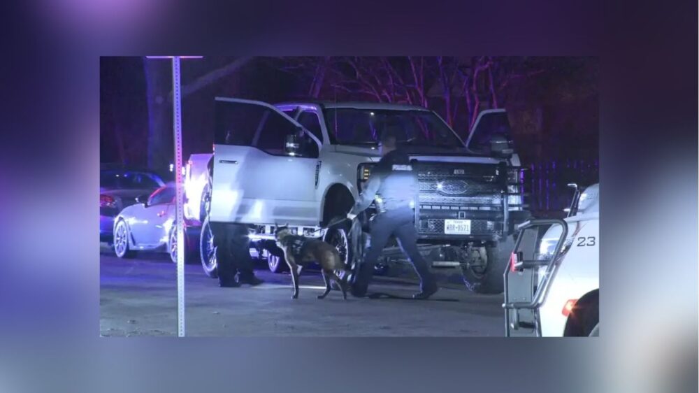 Ellis County Burglary Suspect Crashes In Dallas After 100 MPH Chase, Caught By K-9