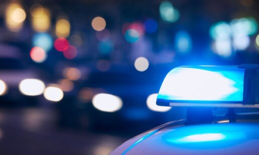 MUGSHOTS: ICE Detainers Lodged On Two Suspects In Princeton Homicide