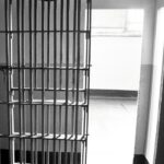 Dirty John MUGSHOTS: New Round Of Sex Crime Suspects Booked Into Collin County Jail