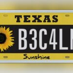 From “DV” To “69”: The Most Denied Vanity Plates Reveal Texans’ Edgiest Ideas