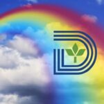 Dallas Ordered To Remove Rainbow Crosswalks Or Risk Losing State And Federal Road Funding