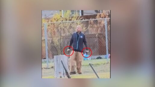 Dallas Police Release Bodycam Footage Of Cedar Crest Shooting Incident