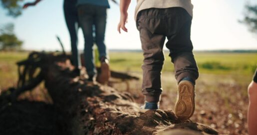 Texas Camps Face Shutdown Over New Fiber-Optic Mandate