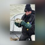 Texas Volunteers Race To Save Cold-Stunned Sea Turtles Before It’s Too Late
