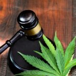 Too High: TX Proposes $20K Hemp Retail Registration Fee – Small Shops Say It’s A Death Sentence