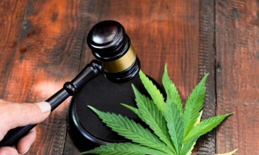 Too High: TX Proposes $20K Hemp Retail Registration Fee – Small Shops Say It’s A Death Sentence