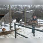 Texas Equine Therapy Center Seeks Donations After Ice Storm Roof Collapse