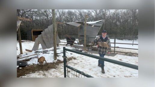 Texas Equine Therapy Center Seeks Donations After Ice Storm Roof Collapse