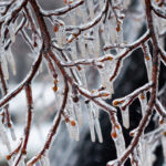 Why DFW’s Forecast Keeps Shifting Between Sleet And Freezing Rain — And Why The Hazards Are Different