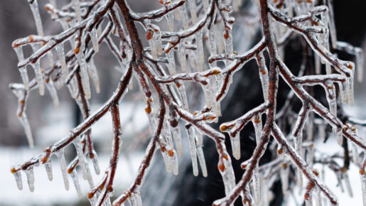 Why DFW’s Forecast Keeps Shifting Between Sleet And Freezing Rain — And Why The Hazards Are Different