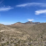 Texas Sits On 1.6 Billion Barrels Of Undiscovered Oil, New Study Shows