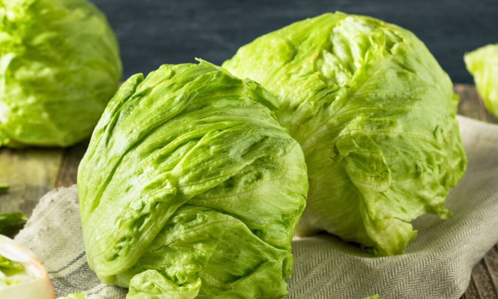 This San Antonio Cargo Wasn’t Going To Market: 1,200 Pounds Of Meth Hidden In Heads Of Lettuce