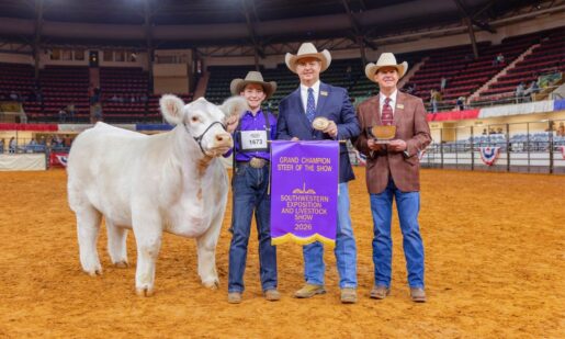 13-Year-Old’s Steer ‘White Castle’ Sells For Record $550,000 At Fort Worth Stock Show