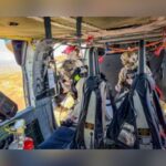 Life-Saving Airlift: Border Patrol Helicopter Crew Saves Injured Hiker In Franklin Mountains State Park