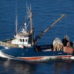 Trump Opens Atlantic Marine Monument To Commercial Fishing, Reversing Obama-Era Ban