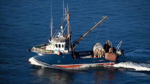 Trump Opens Atlantic Marine Monument To Commercial Fishing, Reversing Obama-Era Ban