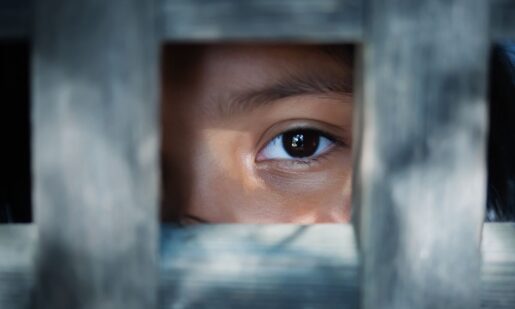 Plainview Man Gets 50 Years, Illegal Alien Gets 45 Years, Austin Man 30 Years In Child Exploitation Crackdown