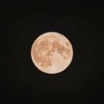 SpaceX Pivots To Lunar City: Musk Says Moon Faster Path To Securing Civilization’s Future