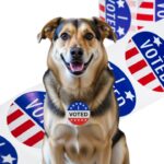 From Dead Voters To Registered Dogs: Nick Shirley’s California Voter Roll Investigation