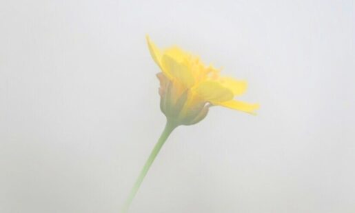 Salon des Refusés: A Hidden Note Tucked In An Old Painting