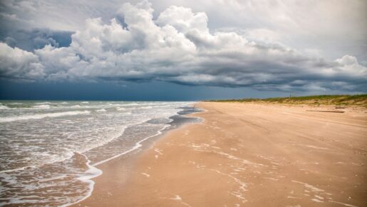 Texas Land Commissioner Awards $84.6 Million To Protect 14 Coastal Communities And Wildlife