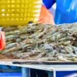 94% Of Your Shrimp Comes From Abroad — Why Shrimpers Call It A Hidden Threat To The U.S.