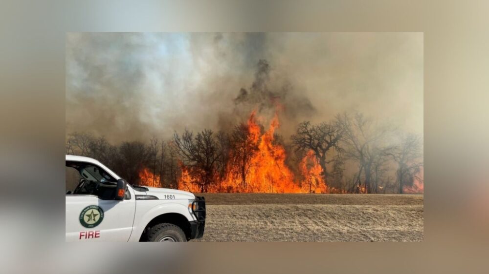 Over 30 North Texas Fire Departments Battle Panhandle Wildfires