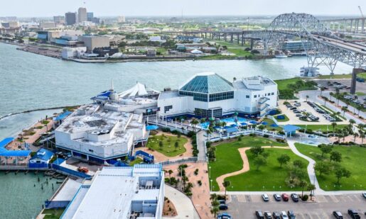 Trump Is Coming To Corpus Christi: Economy’s Better, But Water Crisis Continues