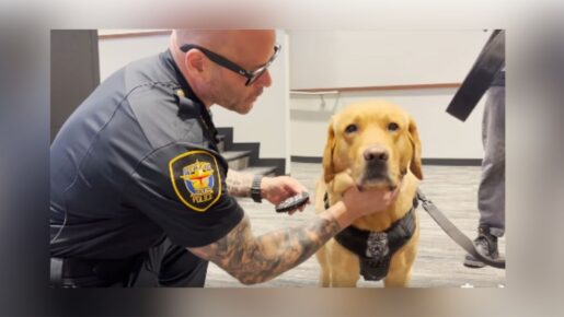 Meet K-9 Copper: Fort Worth’s Newest Hero Sniffing Out Child Exploitation Devices