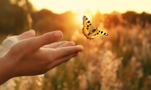 When A Parent Dies: The Quiet Rebirth Most People Never Talk About
