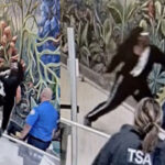 California Man Charged After Allegedly Breaking Dallas Cop’s Eye Socket In TSA Attack At Love Field
