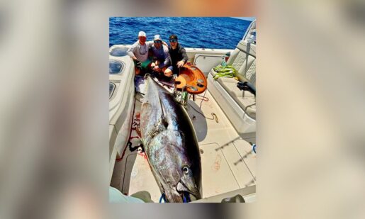 Houston Angler Lands 884-Pound Bluefin Tuna, Smashing Texas State Record